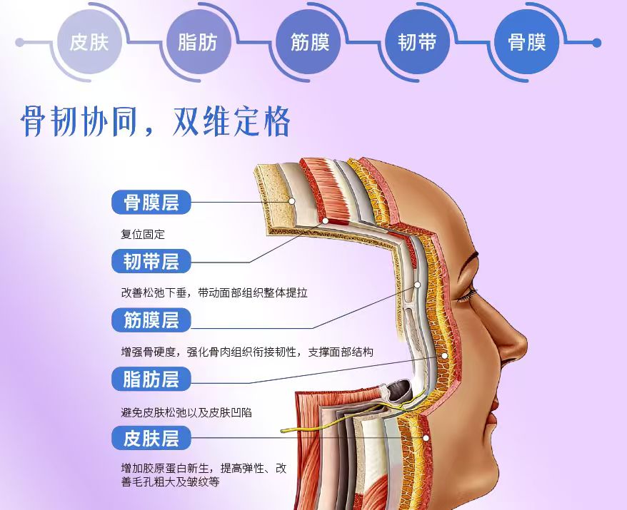 骨韧双雕・青春定格术——面部年轻化抗衰技术新突破